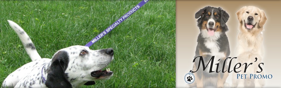 Custom Imprinted Kennel Leads | Miller's Pet Supply
